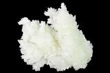 Sparkling Cave Calcite (Aragonite) Formation - Potosi Mine, Mexico #154057-1